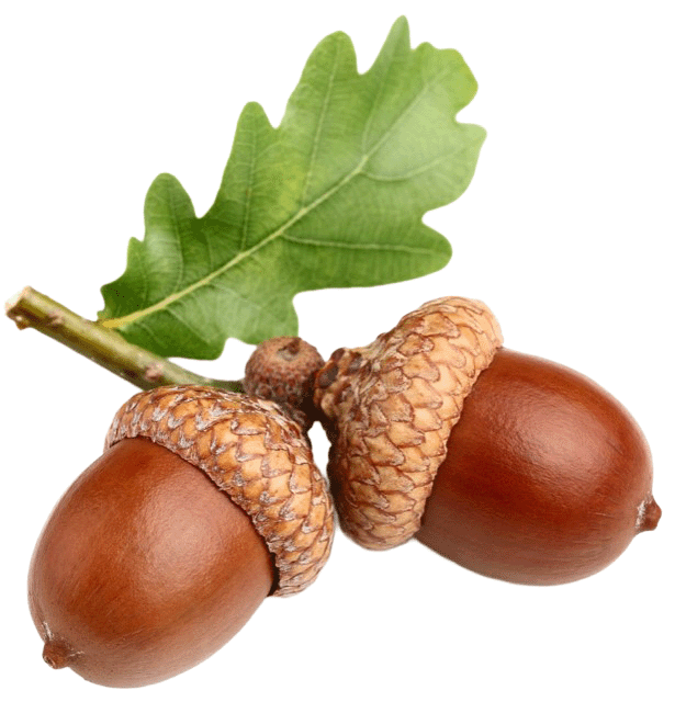 Acorn Engineering (Holbeach) Limited